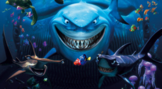 Shark